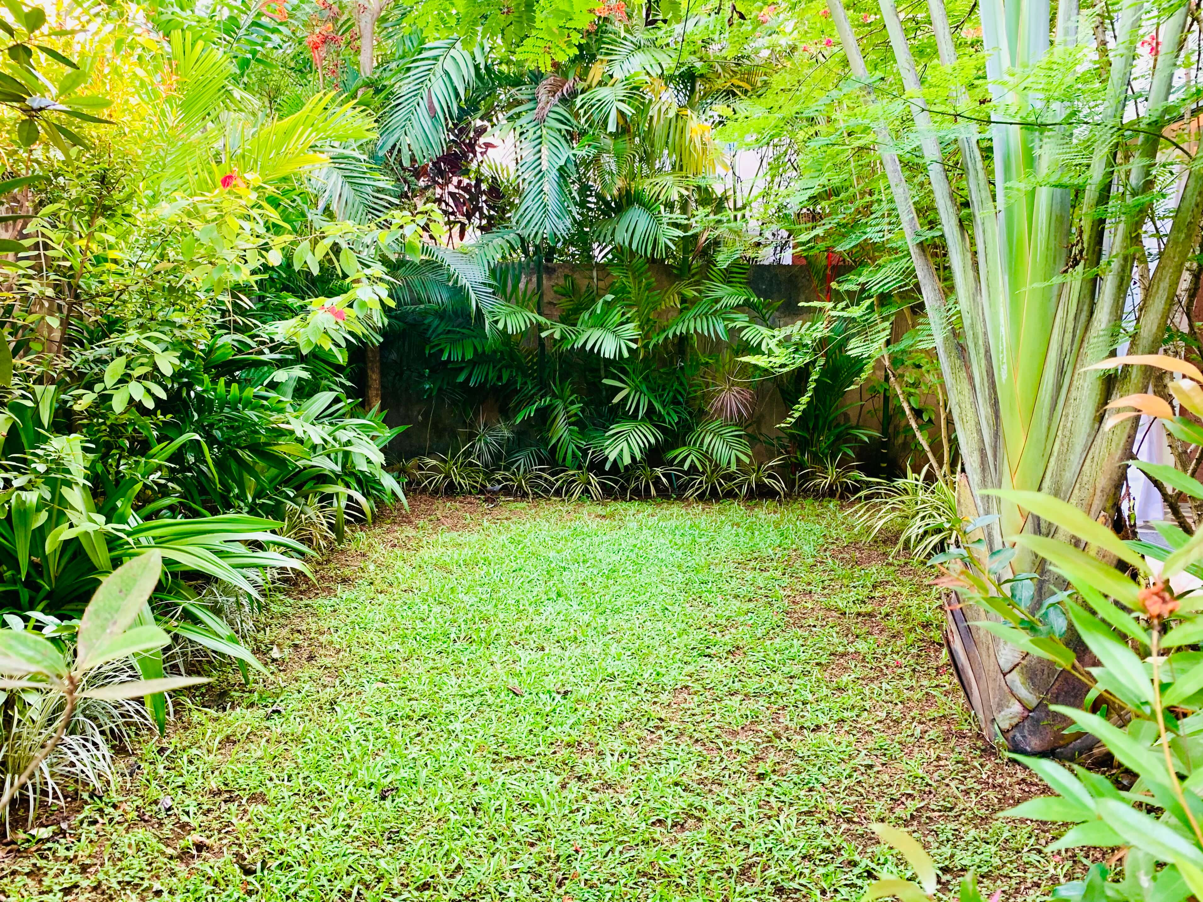 El Tesoro - Apartment - N1 - Garden View