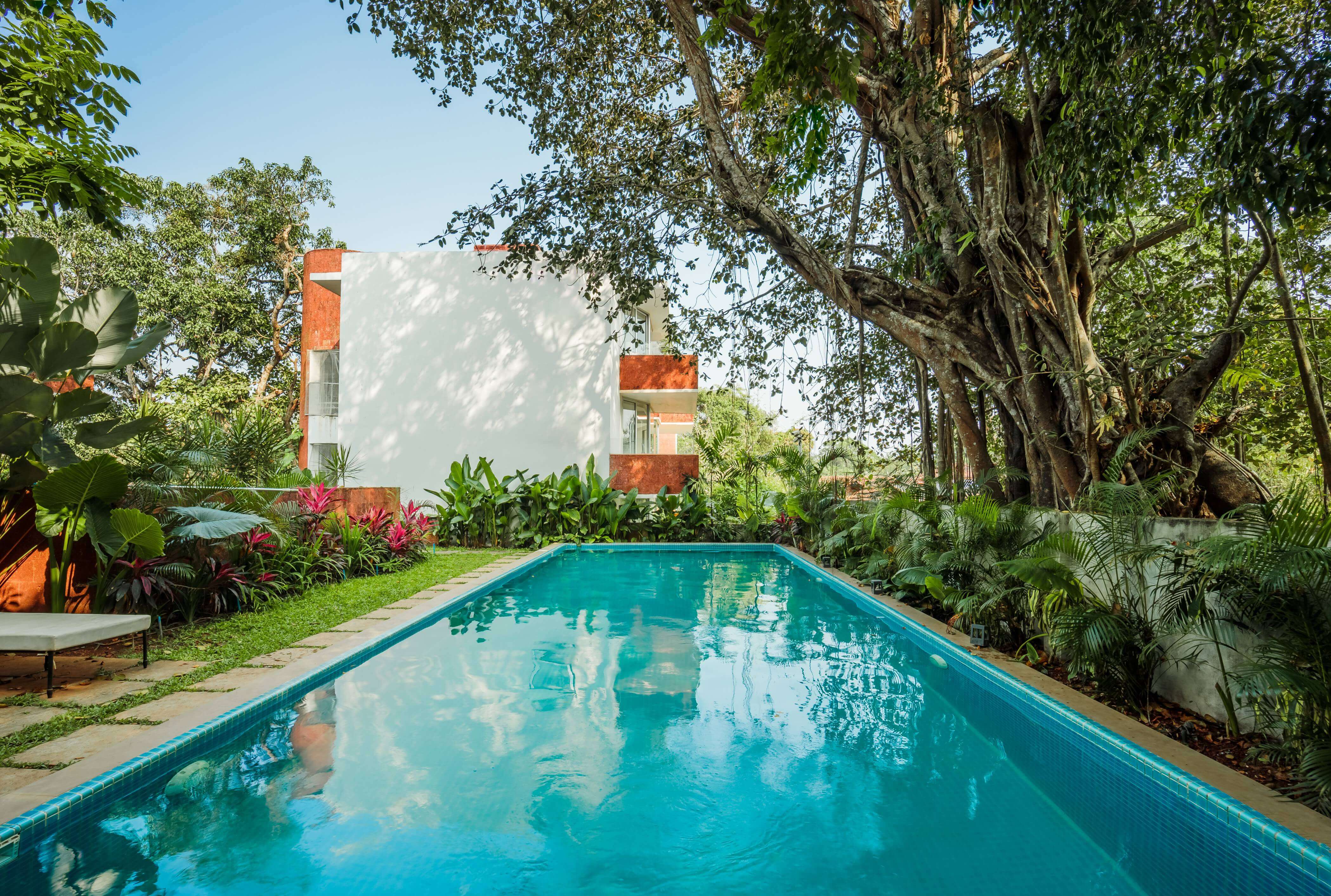 El Raso - Apartment - 08 - Community pool