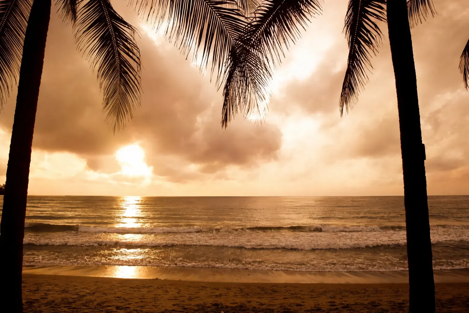 A Cleaner New Year in Goa