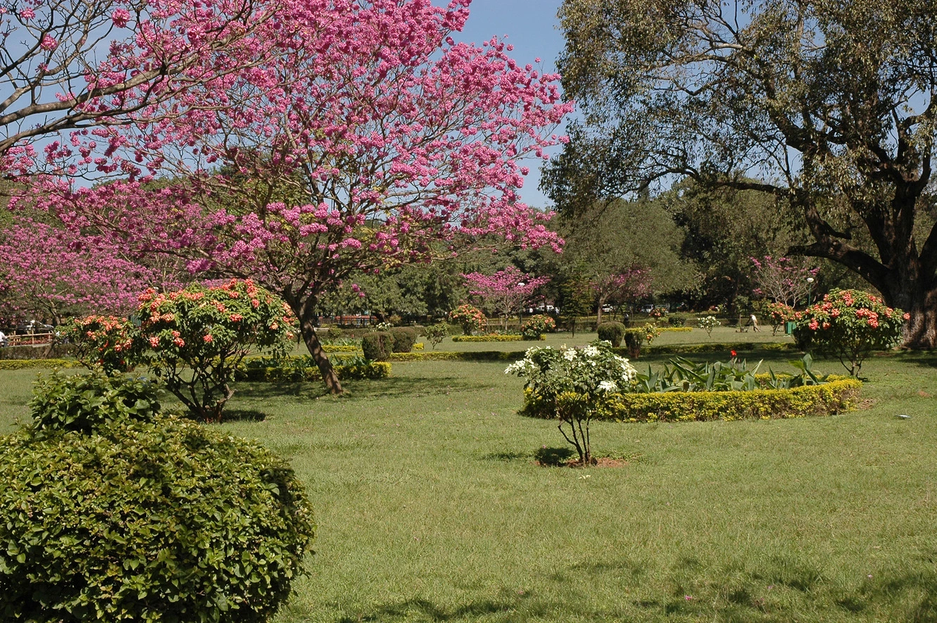 Explore Bengaluru: The Flower City of India