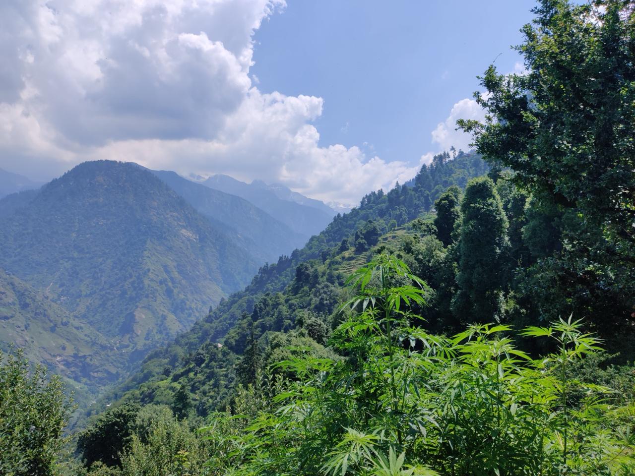 7 Hidden Gems in Shimla You Must Visit for a Unique Experience