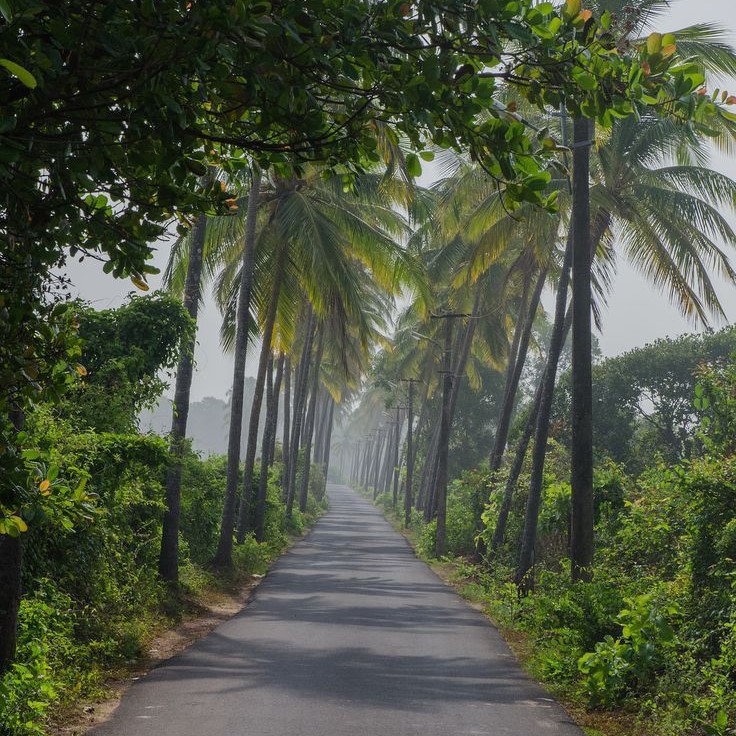 Cinematic Goa: Iconic Movies Filmed in the Coastal Paradise